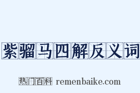 紫骝马四解反义词是什么意思的图片